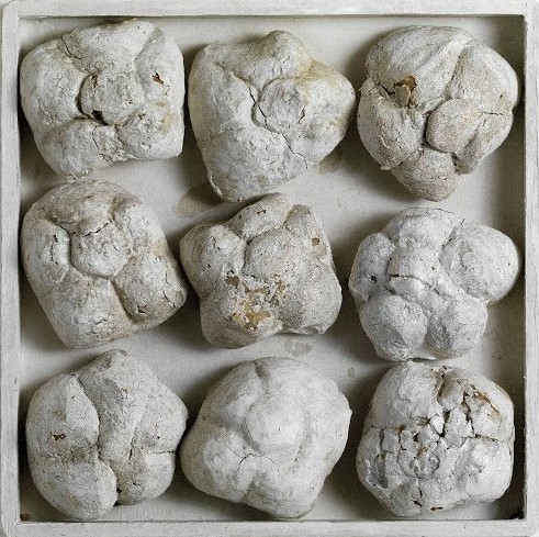 Pane Eterno